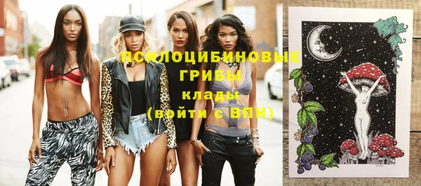шишки Алексеевка