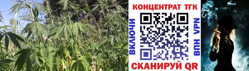 omg онион  Шимановск  Дистиллят ТГК Wax 