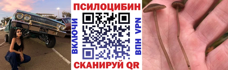 Галлюциногенные грибы GOLDEN TEACHER  закладка  shop формула  Шимановск 